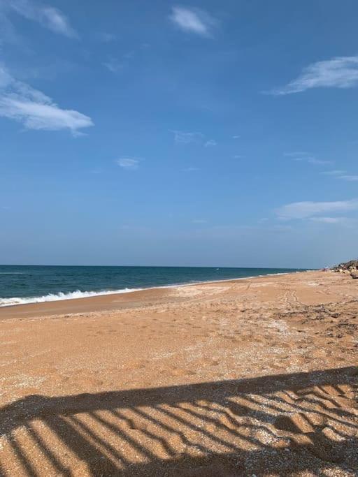 Ormond Beach, Fun & Loving Sun! Exterior foto